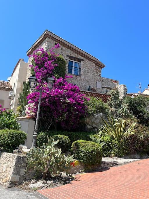 Strelizia - New Central Old Antibes For 4 Ac Eksteriør billede